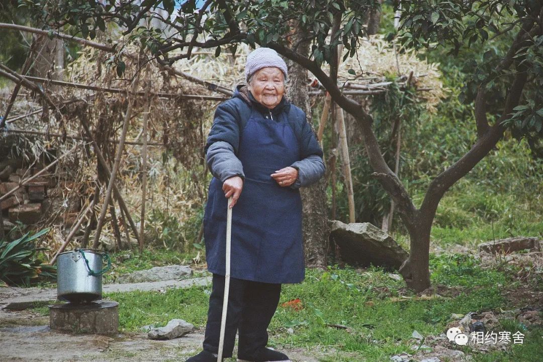 高考满分作文精选10篇必背范文,高考必备十篇优秀作文及点评