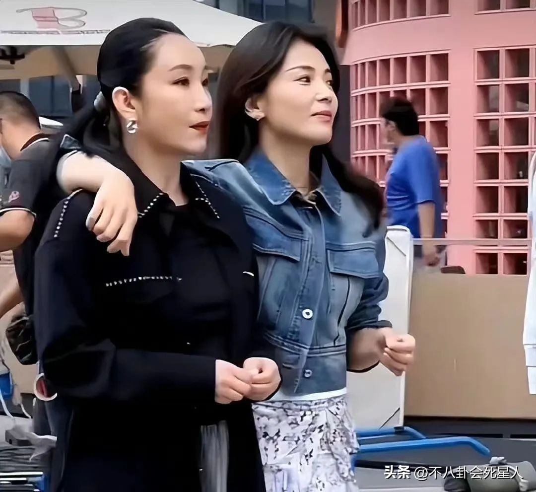 40岁秦海璐和刘涛对比,秦海璐刘涛合影照