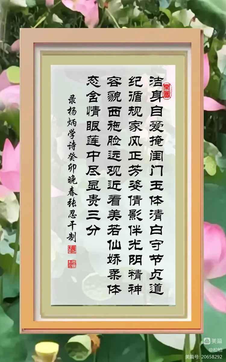 诗图战友情（九十五）荷花别样红