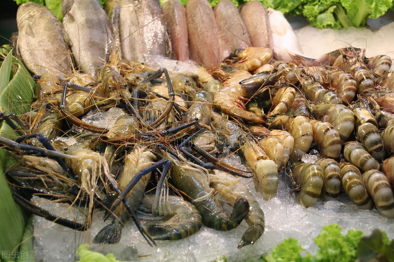 泰国冷知识视频大全,地球村冷知识泰国