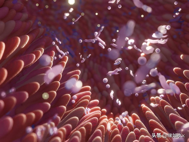 脸上的油到底是什么油,脸上油多真的不好吗