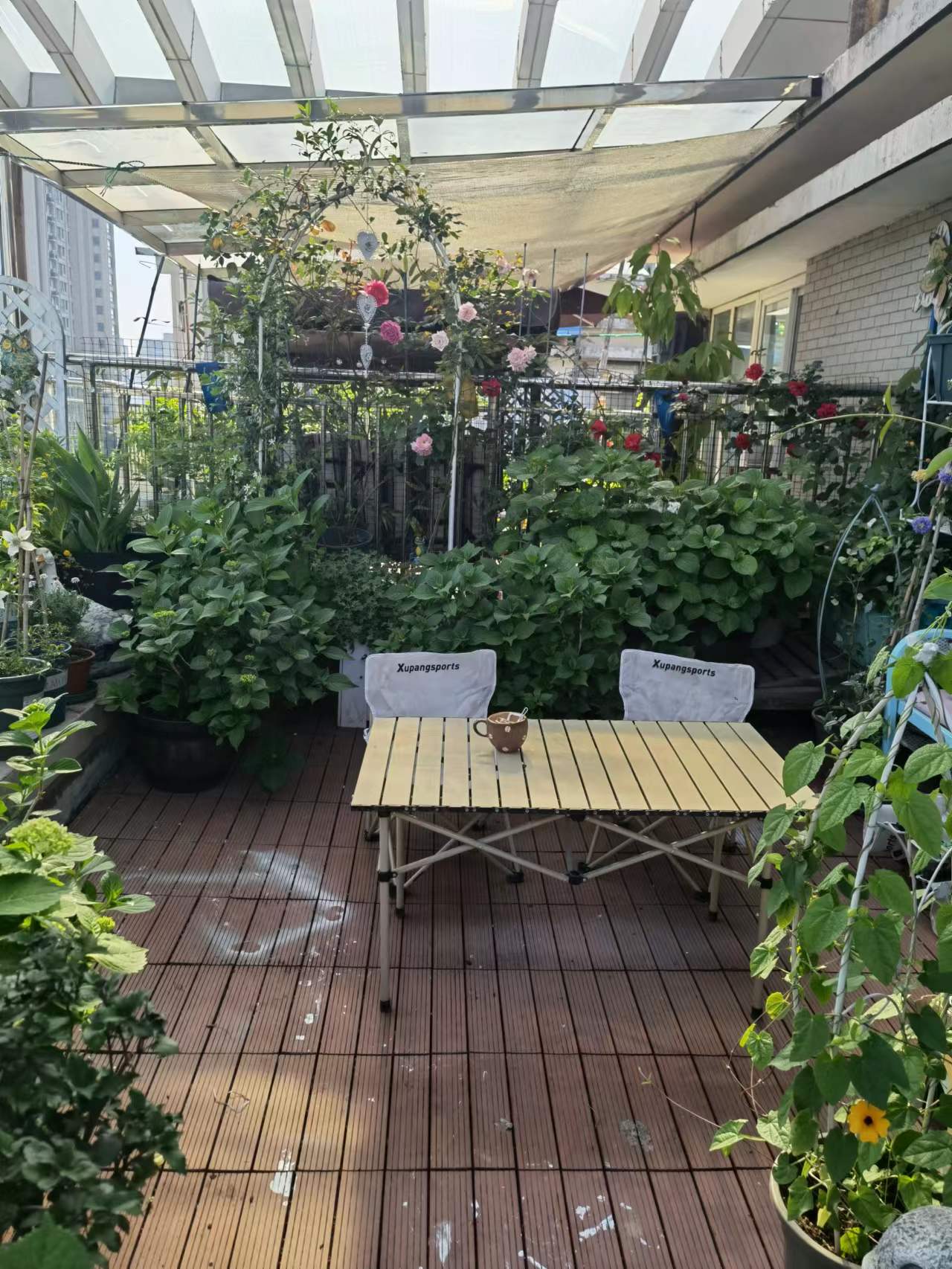 夏季常见驱蚊植物亲测有效,亲测10款驱蚊产品使用报告