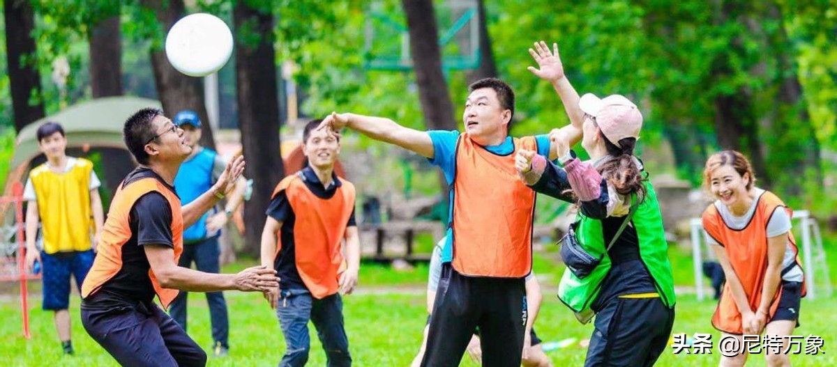 飞盘占用足球场？公共舆论的发泄地罢了