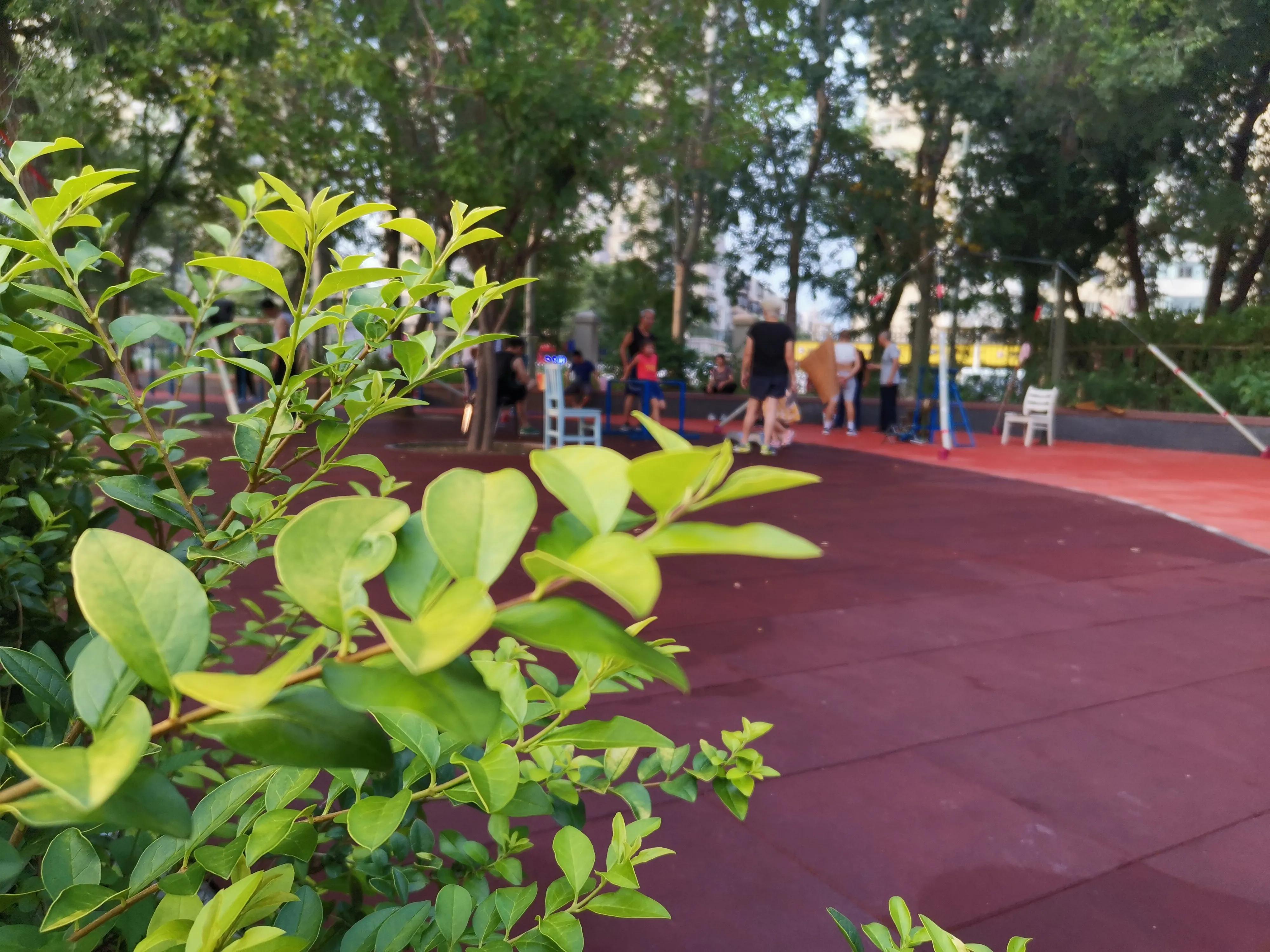 天津适合健身的公园,天津全民健身日