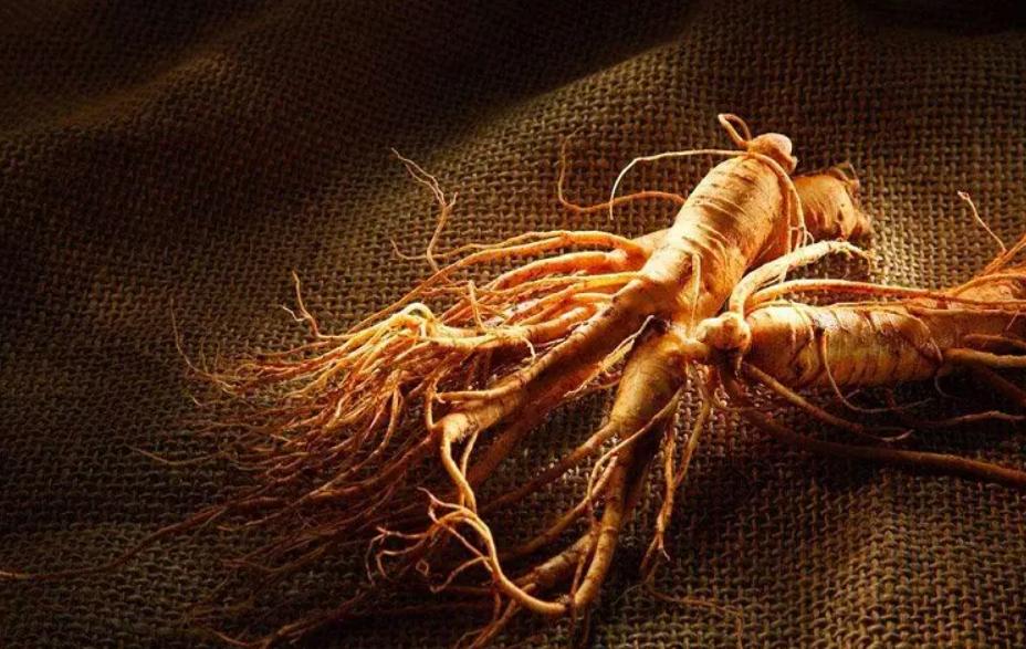 嘉靖皇帝礼仪,明代嘉靖朝致仕制度的特点