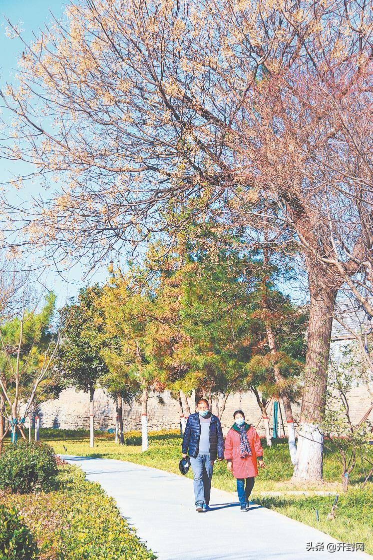 开封市财政局最新政策,开封市财政局历任局长