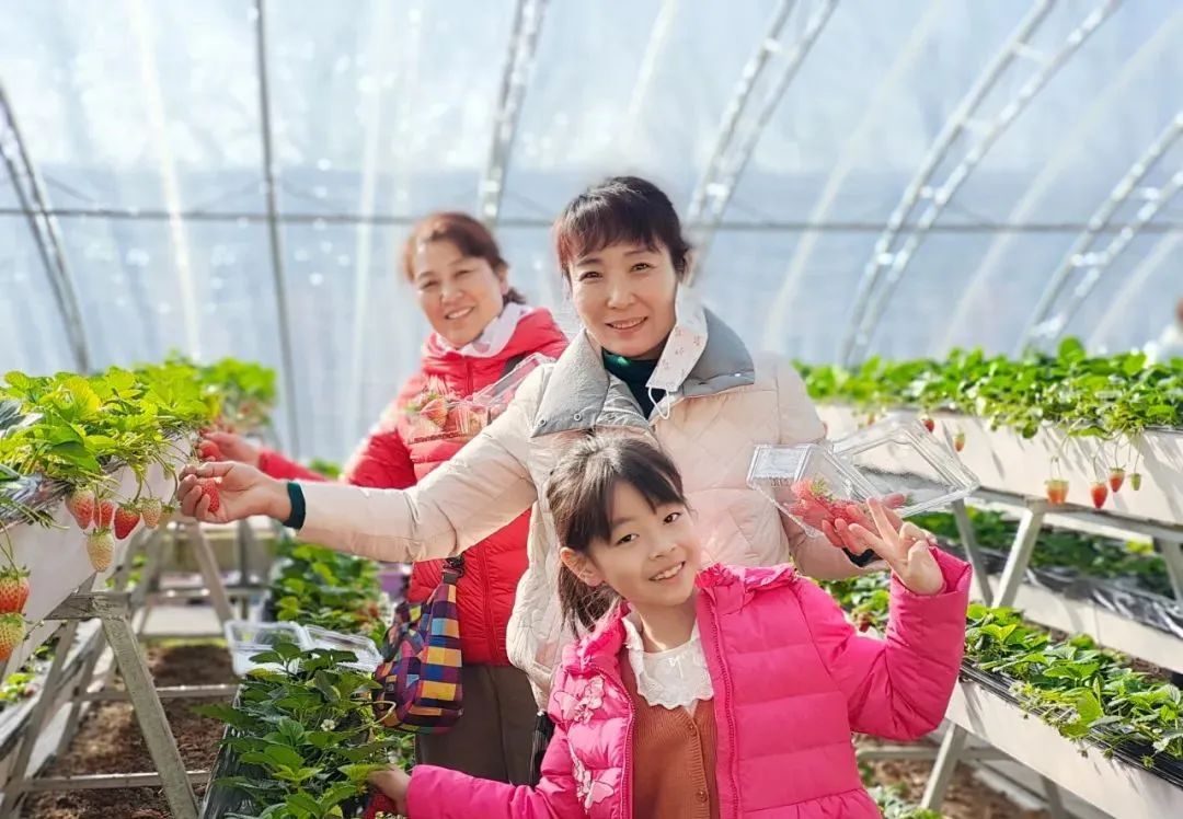 逛吃逛吃歌曲,逛吃逛吃大张伟