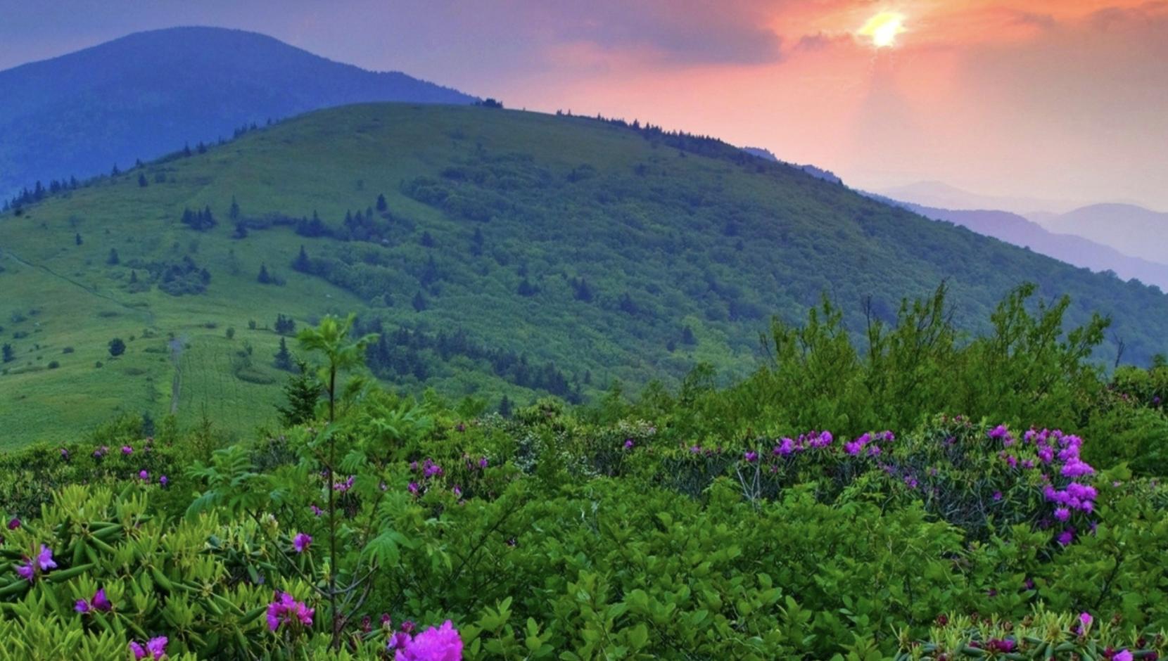 靠谱的两个品质,品质靠谱的床垫