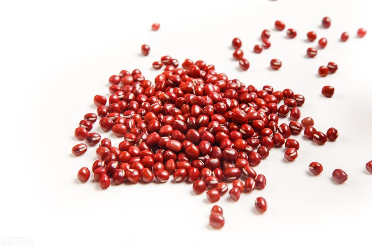 长安三万里里面的古诗集锦,长安三万里经典的古诗