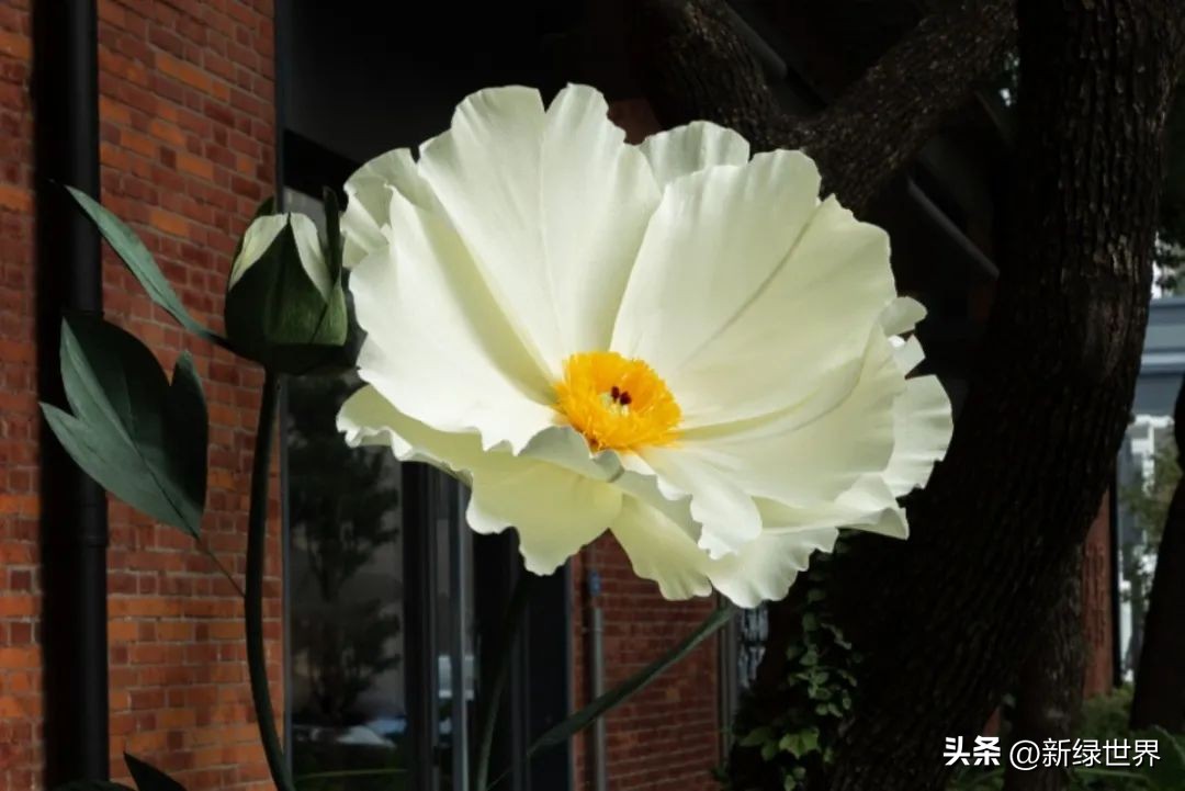 纸艺作品绘画,千变万化的纸艺术作品