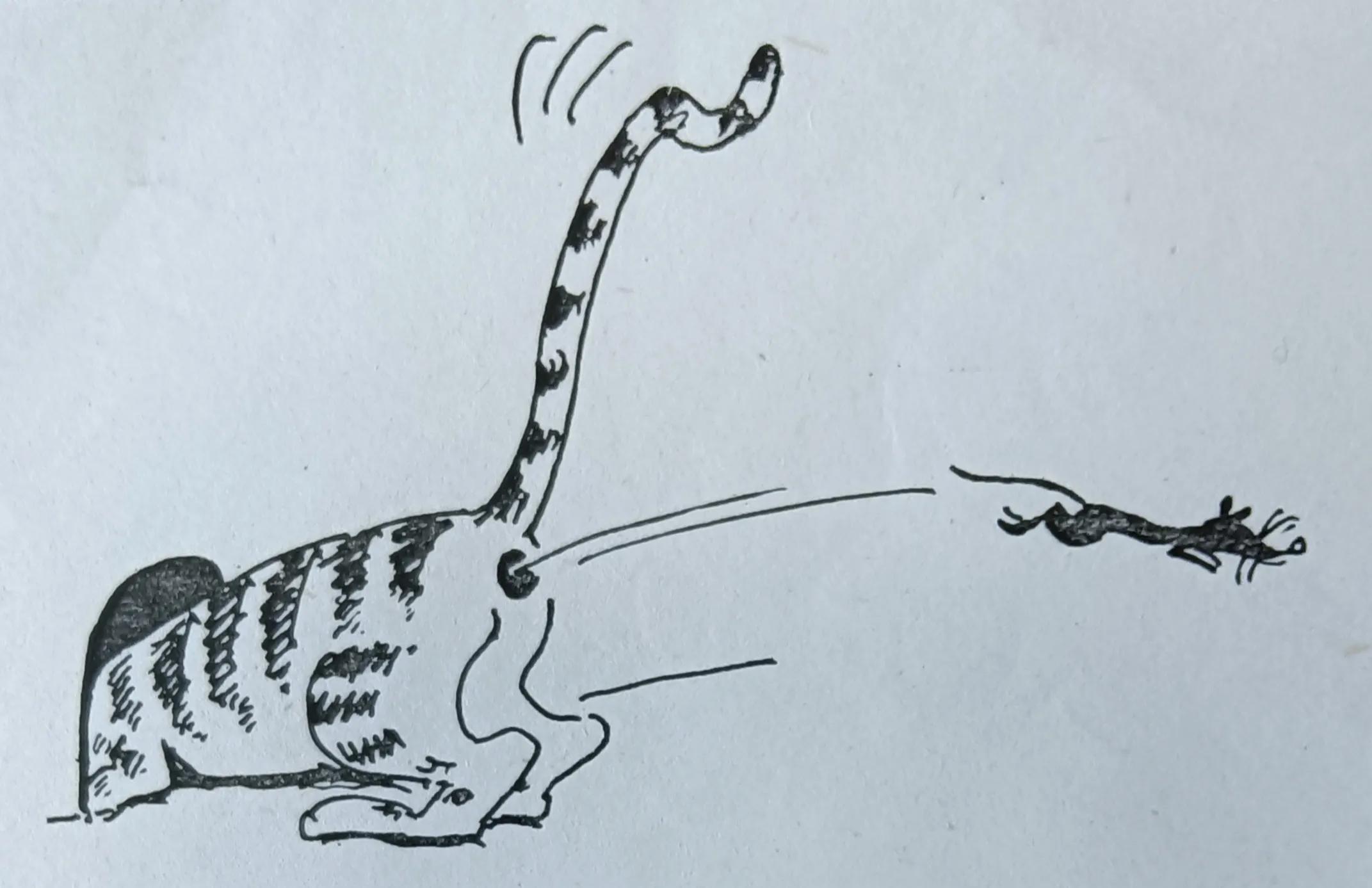 大胆夸张的画,夸张的幽默形象漫画