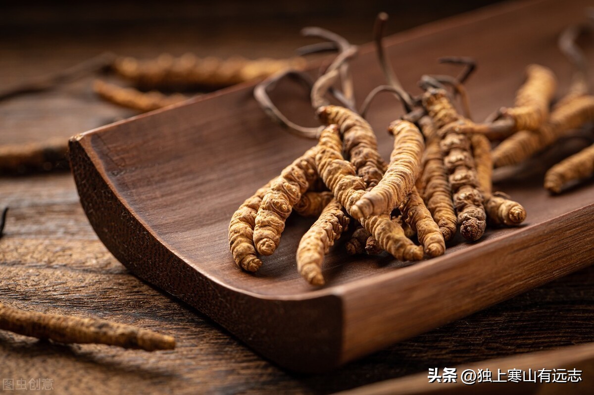 蛤蚧补益肺肾纳气平喘,蛤蚧治疗肺虚咳嗽