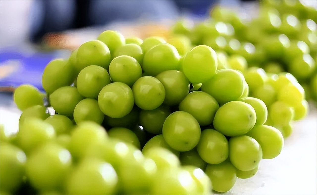 阳光玫瑰是药水泡的吗,阳光玫瑰的作用和处理方法