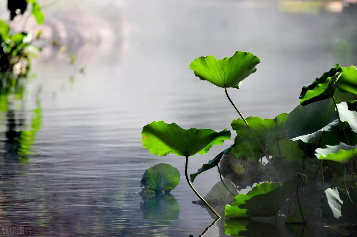 人一旦失去灵魂就只剩下躯壳了,人一旦失去意识能恢复吗