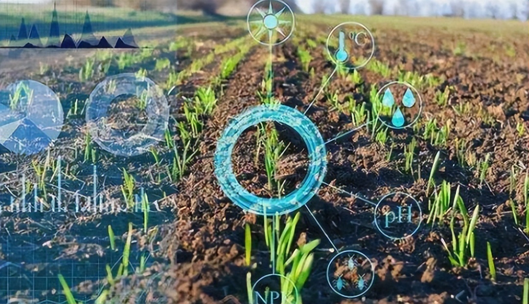 农业产业周报|老乡鸡、洪九果品、双汇发展、荃银高科最新动态