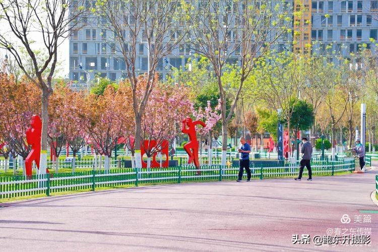 清晨的公园静态美和动态美,运城体育公园夜间灯光