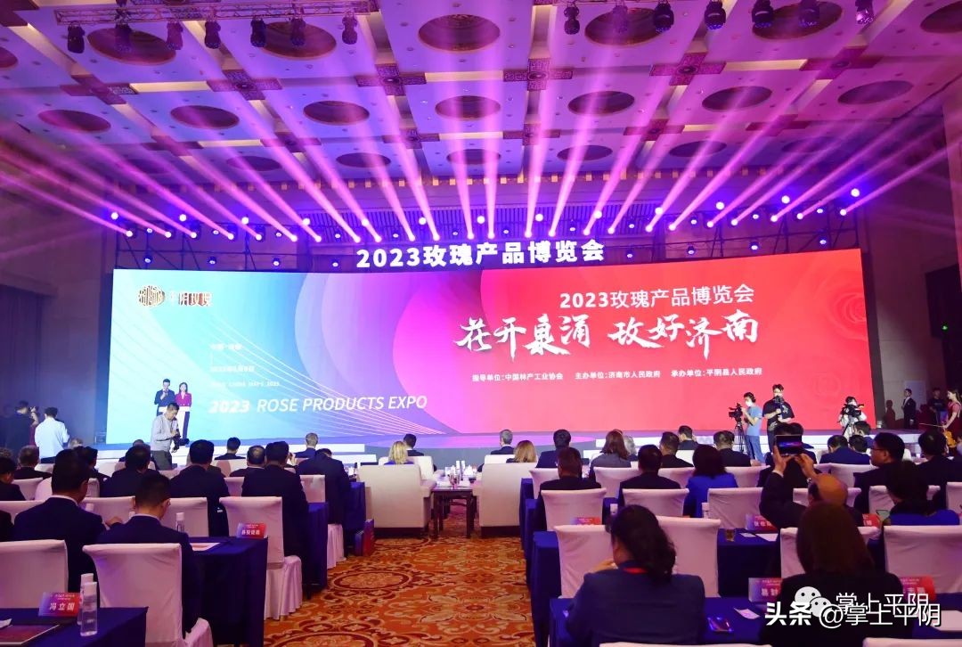 平阴：从种植历史到未来方向，展销长廊引人驻足——听“九朵玫瑰”讲故事