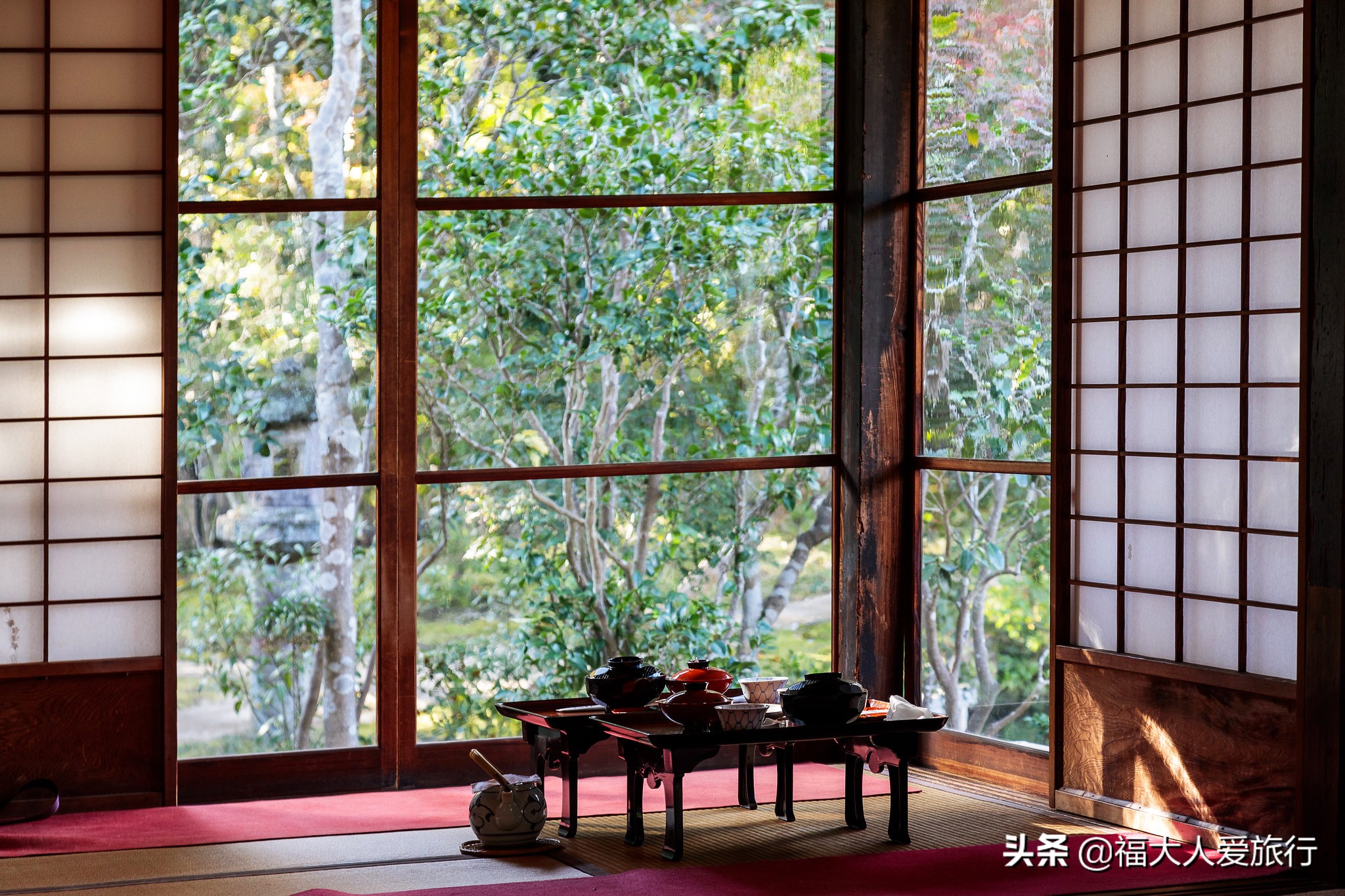 奈良看小鹿片段,奈良看小鹿和樱花