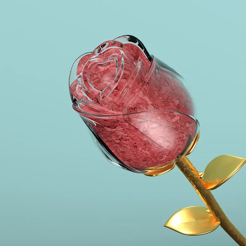 情人节送她一朵小红花,情人节送一朵花给女儿