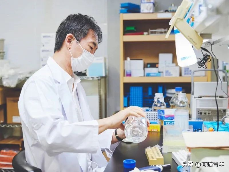 未来猫能活到30岁？？铲屎官听说后狂喜，怒捐3亿！！