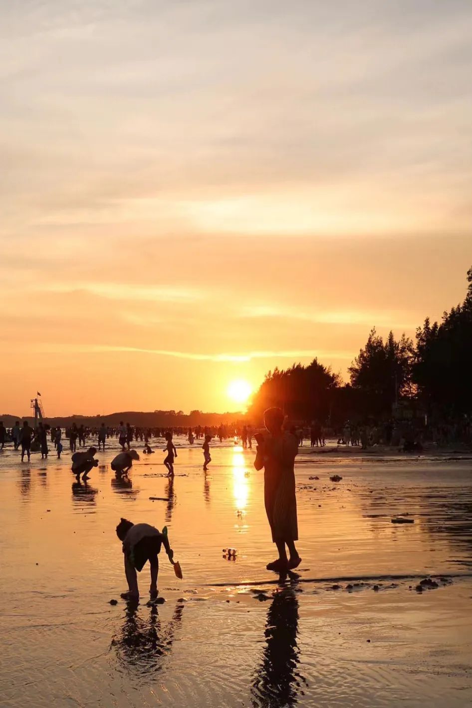 回到小县城朝九晚五,回到朝九晚五的心情说说