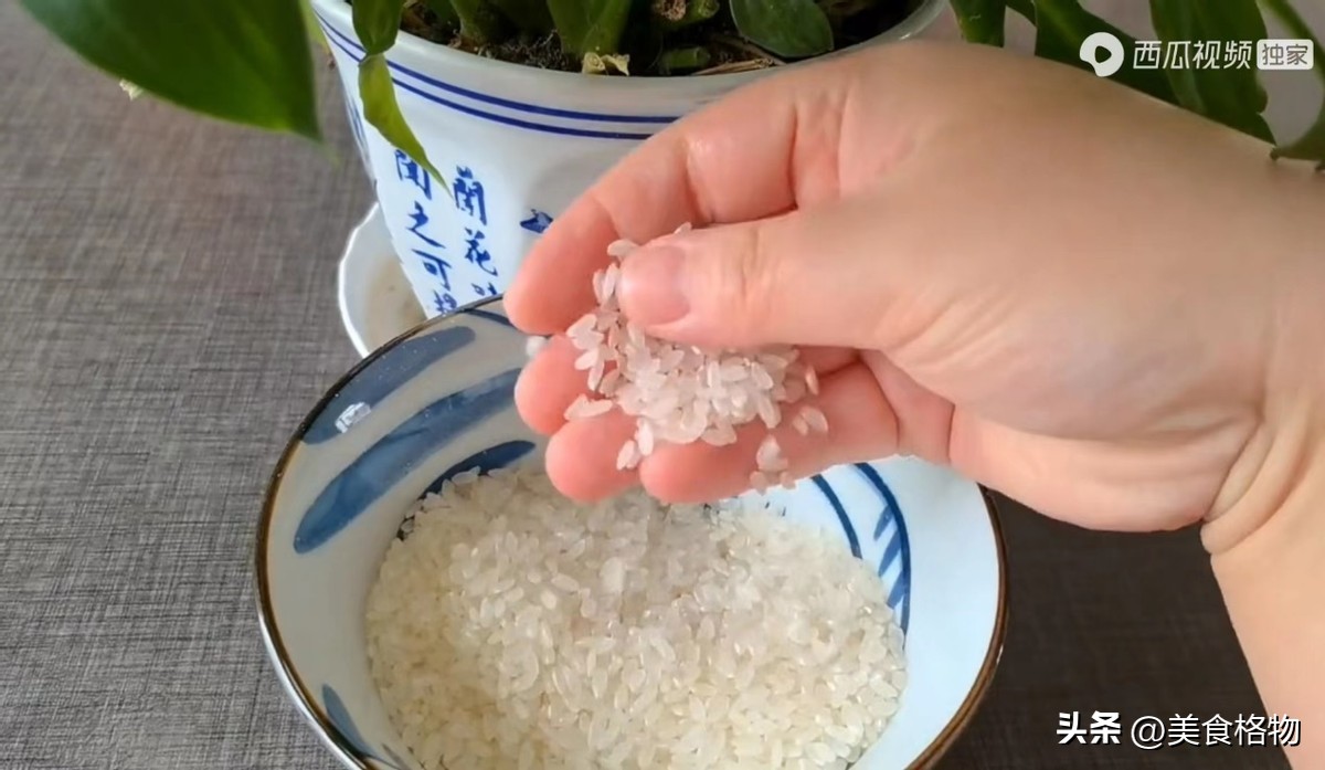 花盆里撒一把什么花都好养,花盆里埋一勺它养花一年不用施肥