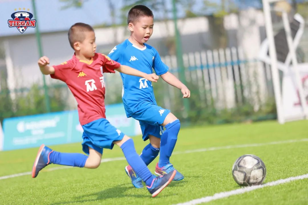 收官之战圆满,收官之战完美落幕