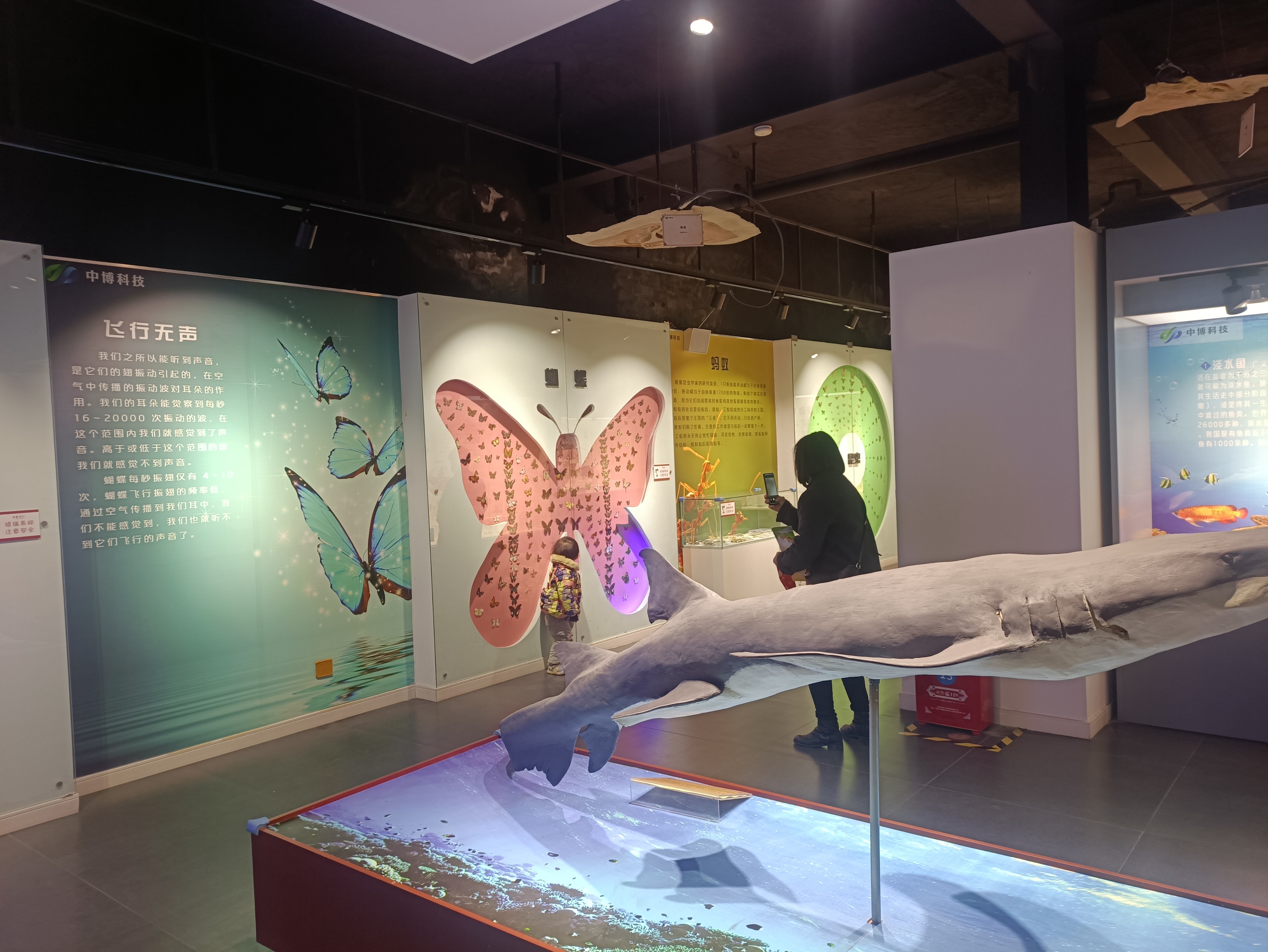 郑州春天去哪里旅游,郑州周边适合春天去的地方