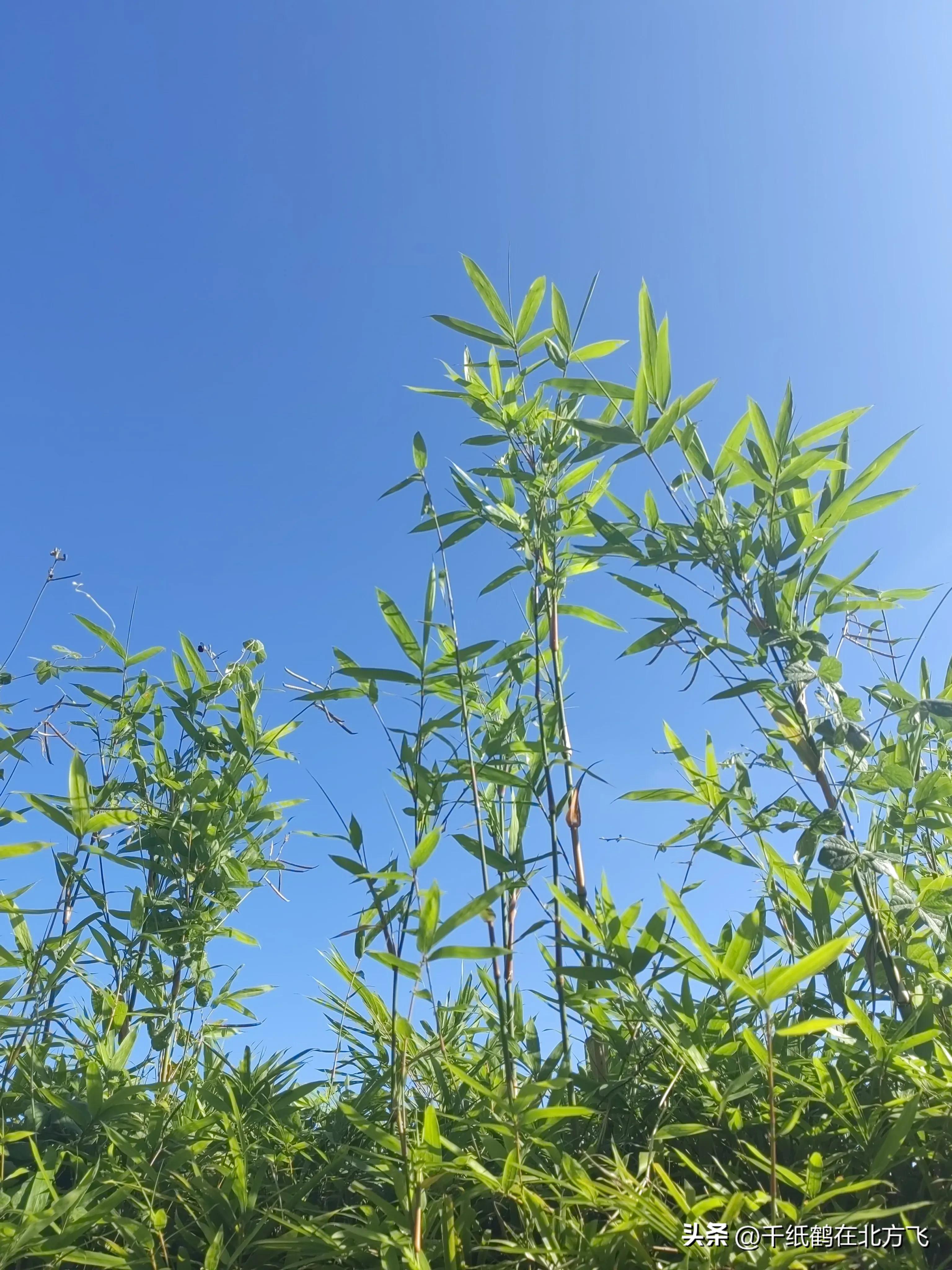 把家人死亡的消息发到朋友圈是否妥当