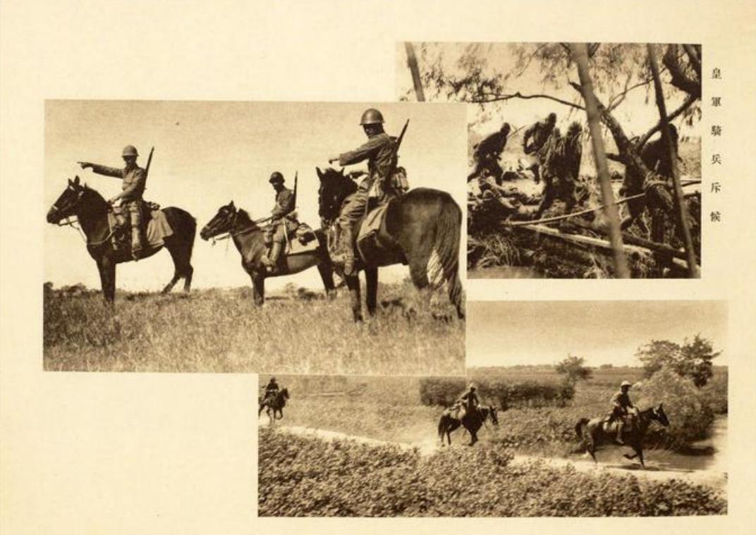 一人一匹都难管,将军见了爱不释手,二战日本战马到底有何特别?