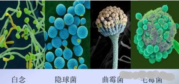 为洗纹身买单,洗纹身有什么代价