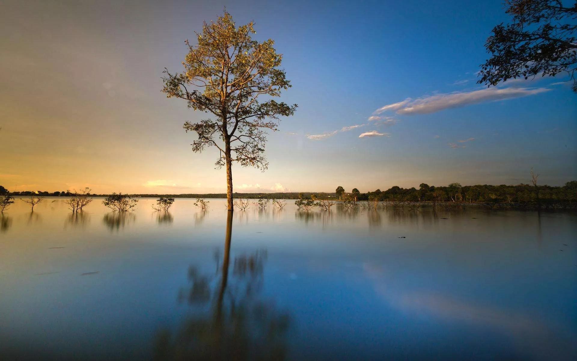人生要想有所成就的话,人生想要成功有多难