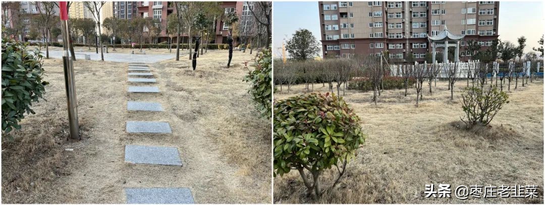 青铜还是王者？东湖片区物业服务调研报告