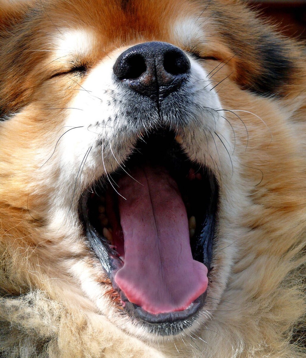 在龙湖上班收获了什么,龙湖工作的真实感受