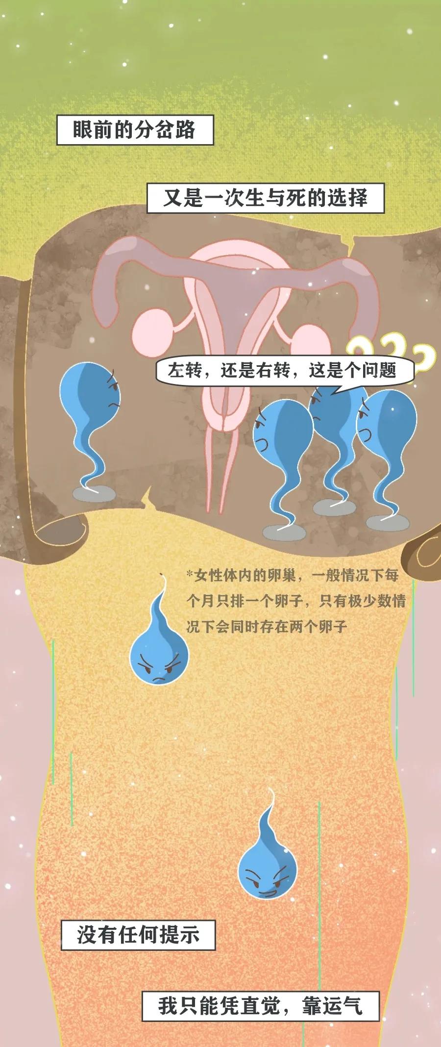 当精子进入女生体内后，会发生什么变化？不要羞于了解！