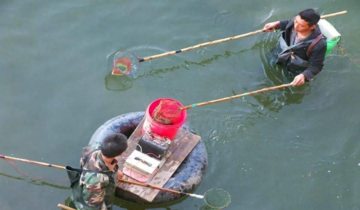 为什么电鱼危害大,电鱼违法为什么还有电鱼设备