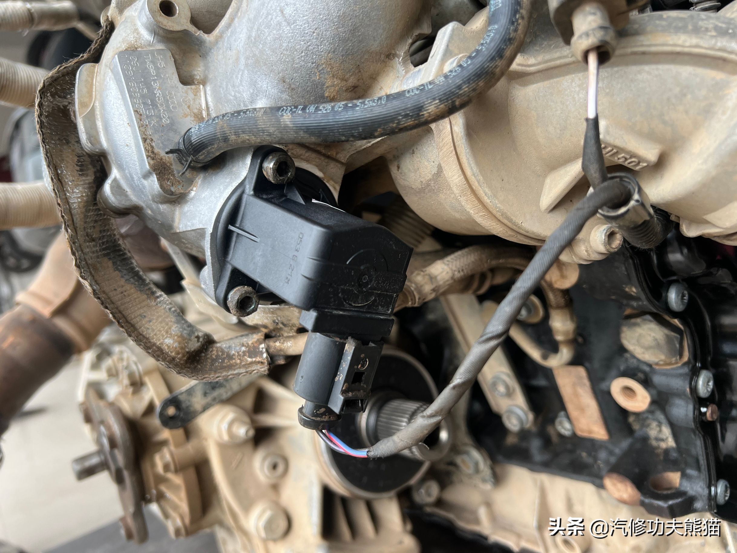 烧机油的大众德系车有哪些,烧机油的大众用什么机油