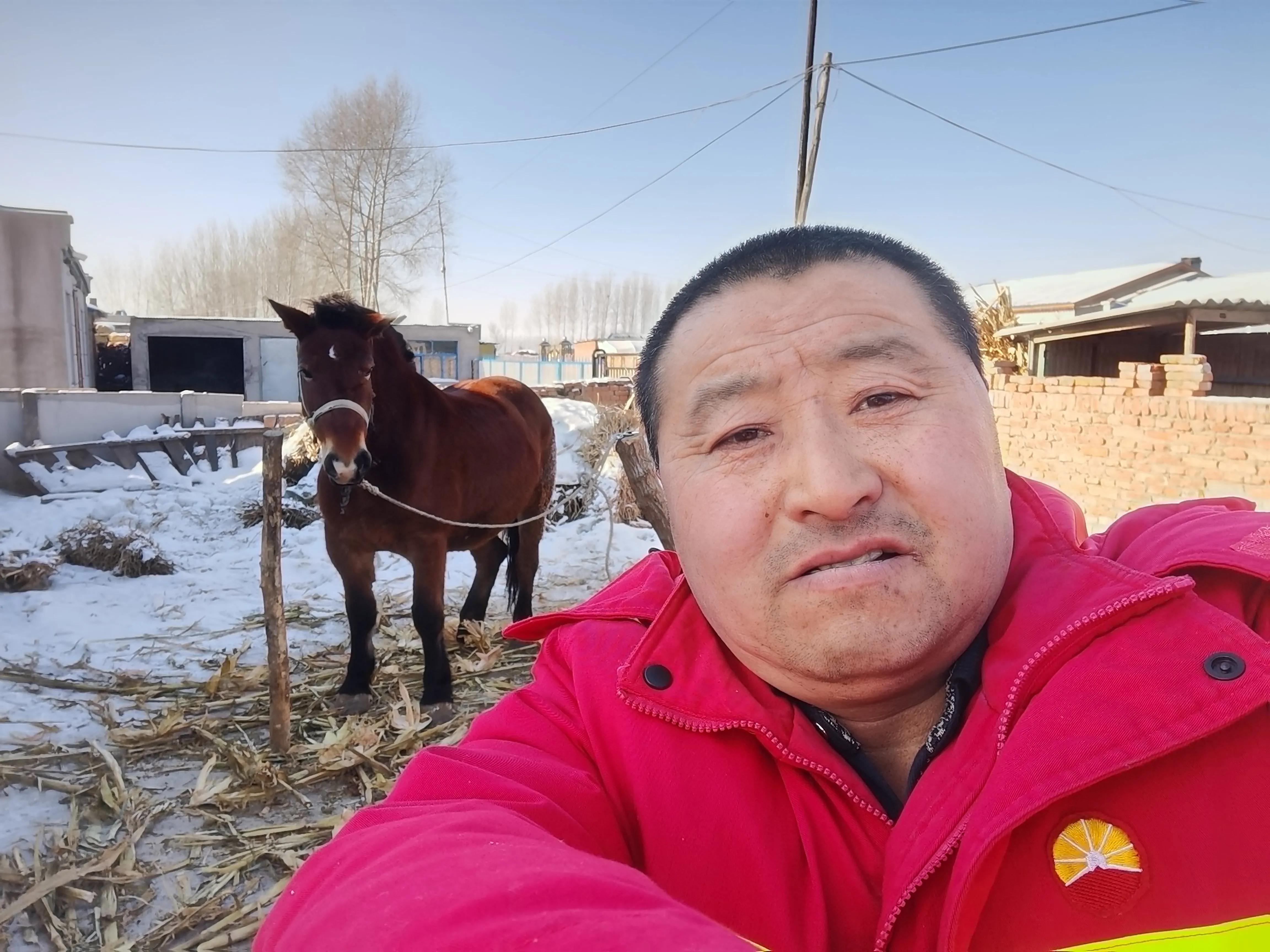 森林历险记儿歌,森林历险记绘本