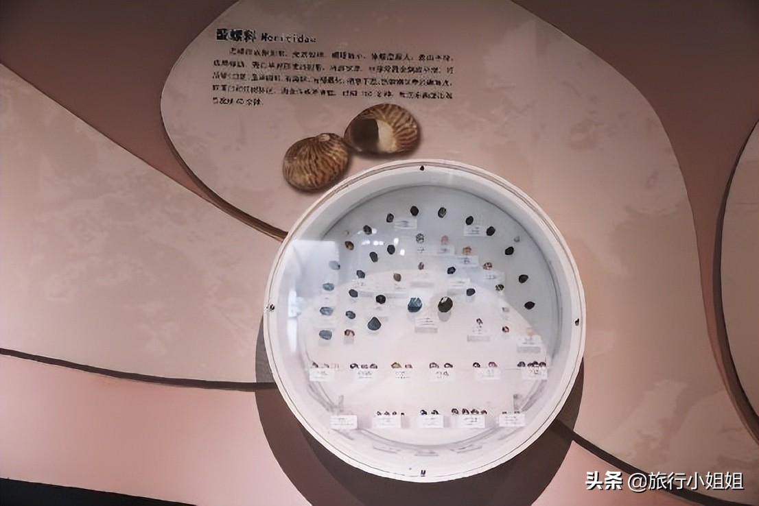 夏日海边微醺氛围感,滨城风光秀丽浪漫气息爆表