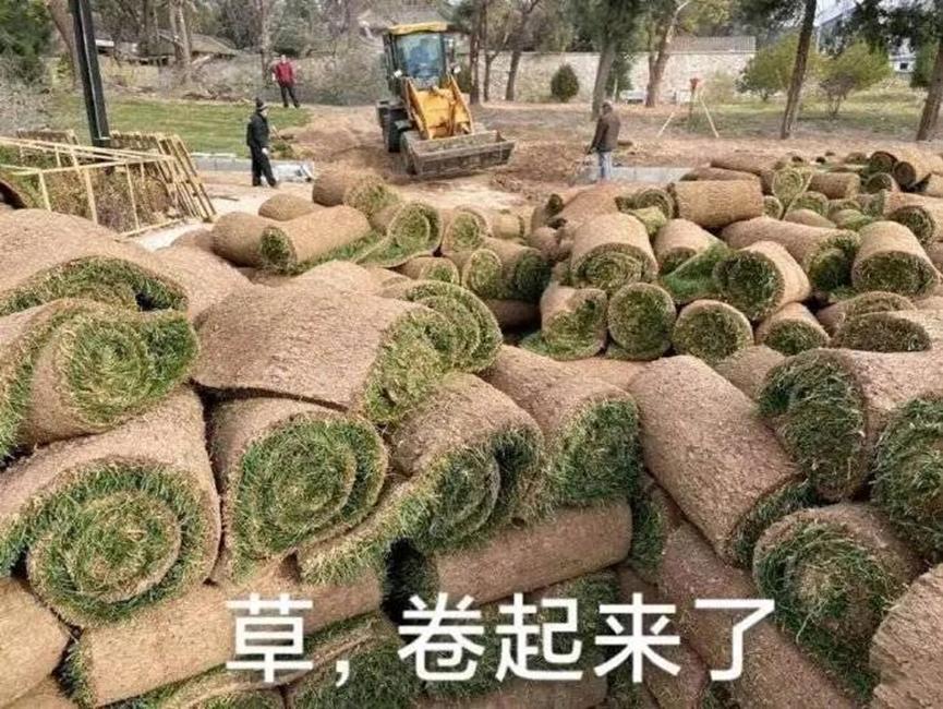 近期手机降价最大的几款,预测618哪款性价比手机降价最高