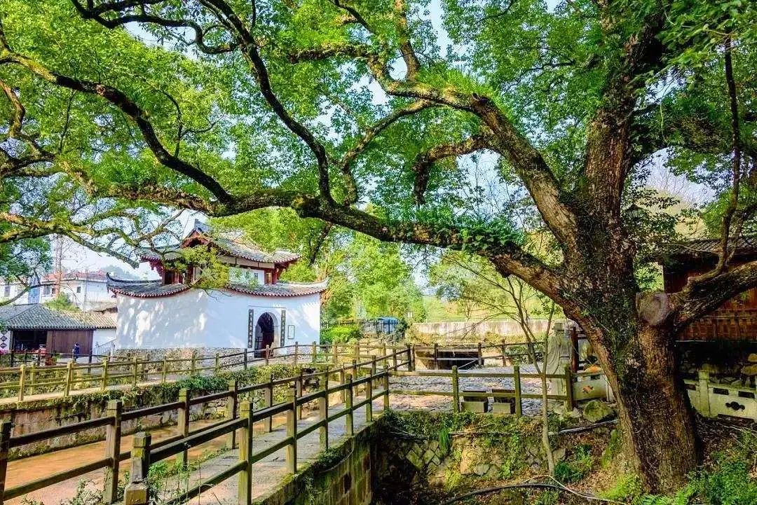 旅游指南浙江最值得去的十个地方,旅游指南浙江最值得去的九个地方