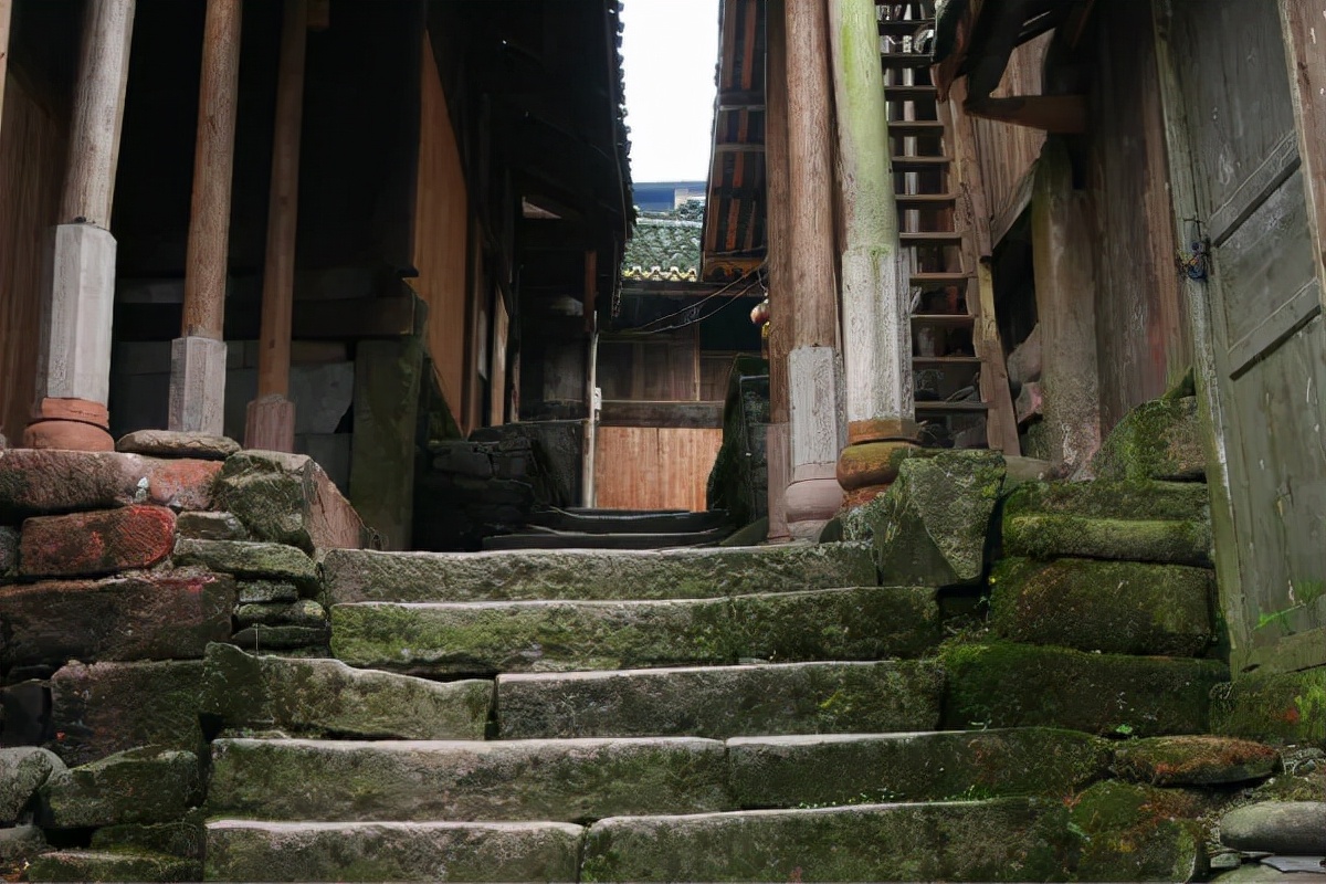 2022春节成都周边油菜花,2022年成都油菜花观赏地