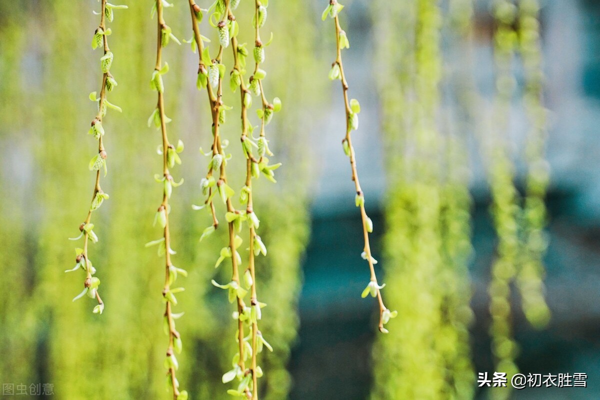 含有春字的古诗句100首,有关春的古诗词名句大全