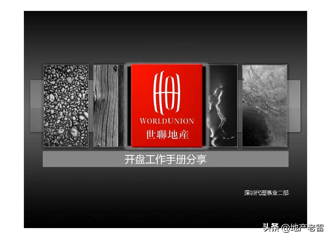 世联是怎么做楼盘营销策划的,世联地产销售