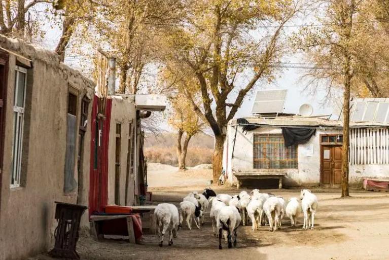 中国第一大村落的位置,中国广东最大自然村