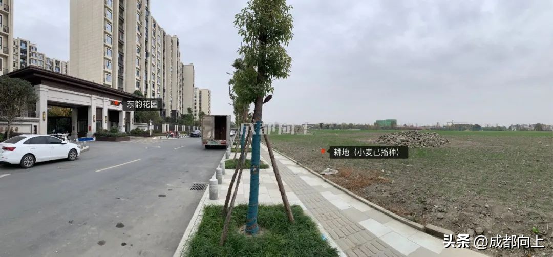 马家寺交通拥堵,双流马家寺现状