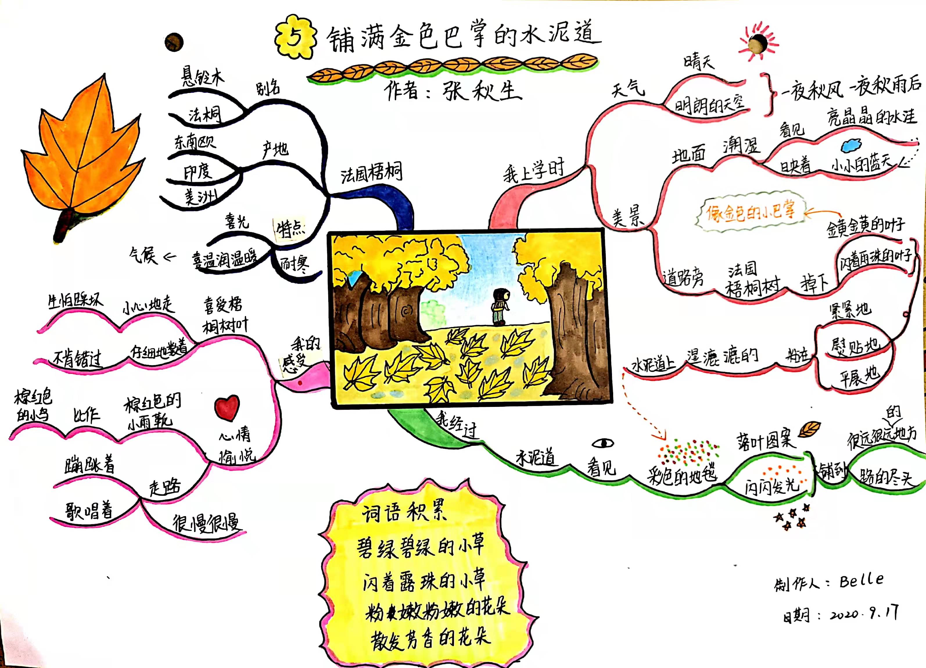 思维导图更适合大脑记忆,思维导图的优点符合大脑思维方式