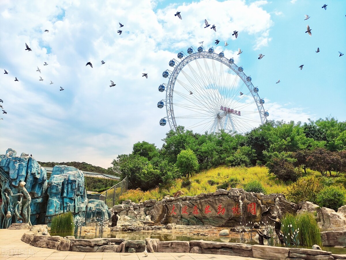 大连海景旅游攻略,大连旅游攻略书籍