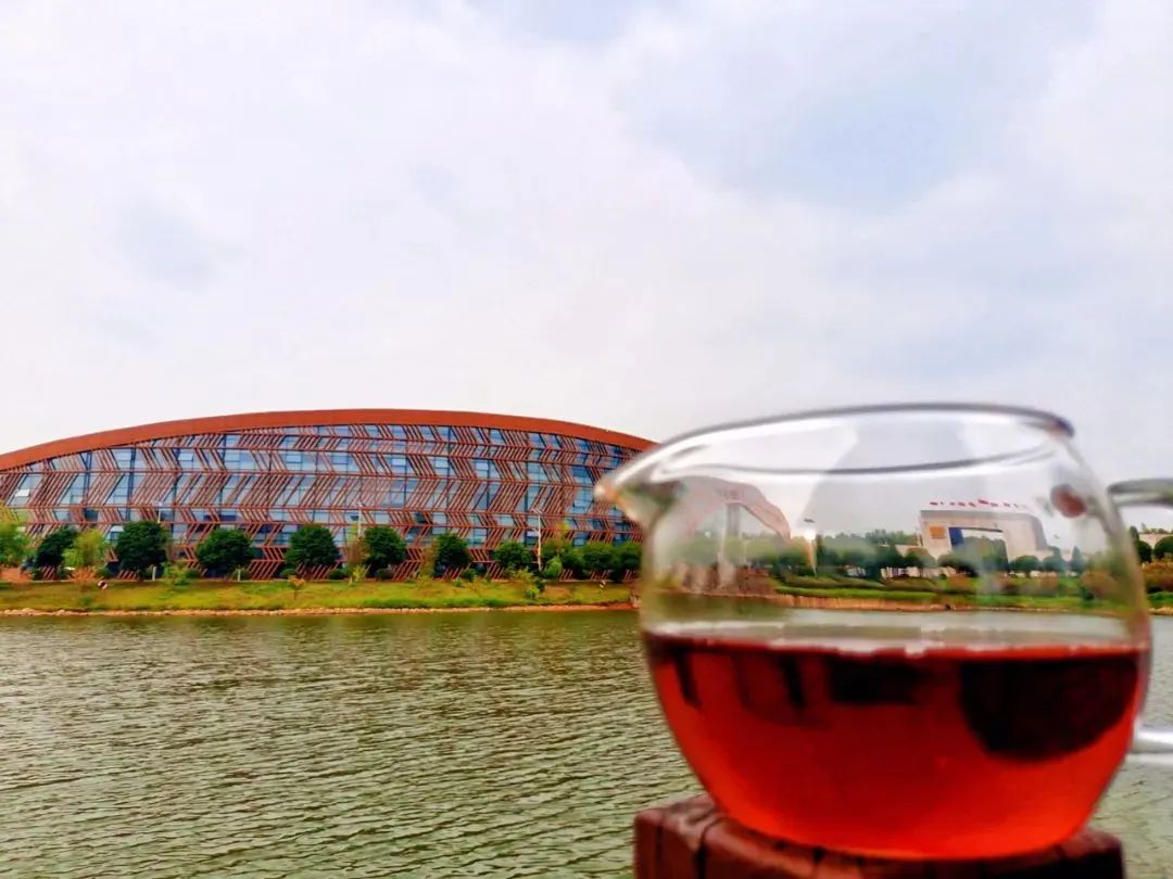 湖北赤壁砖茶全国排名,湖北赤壁茶砖