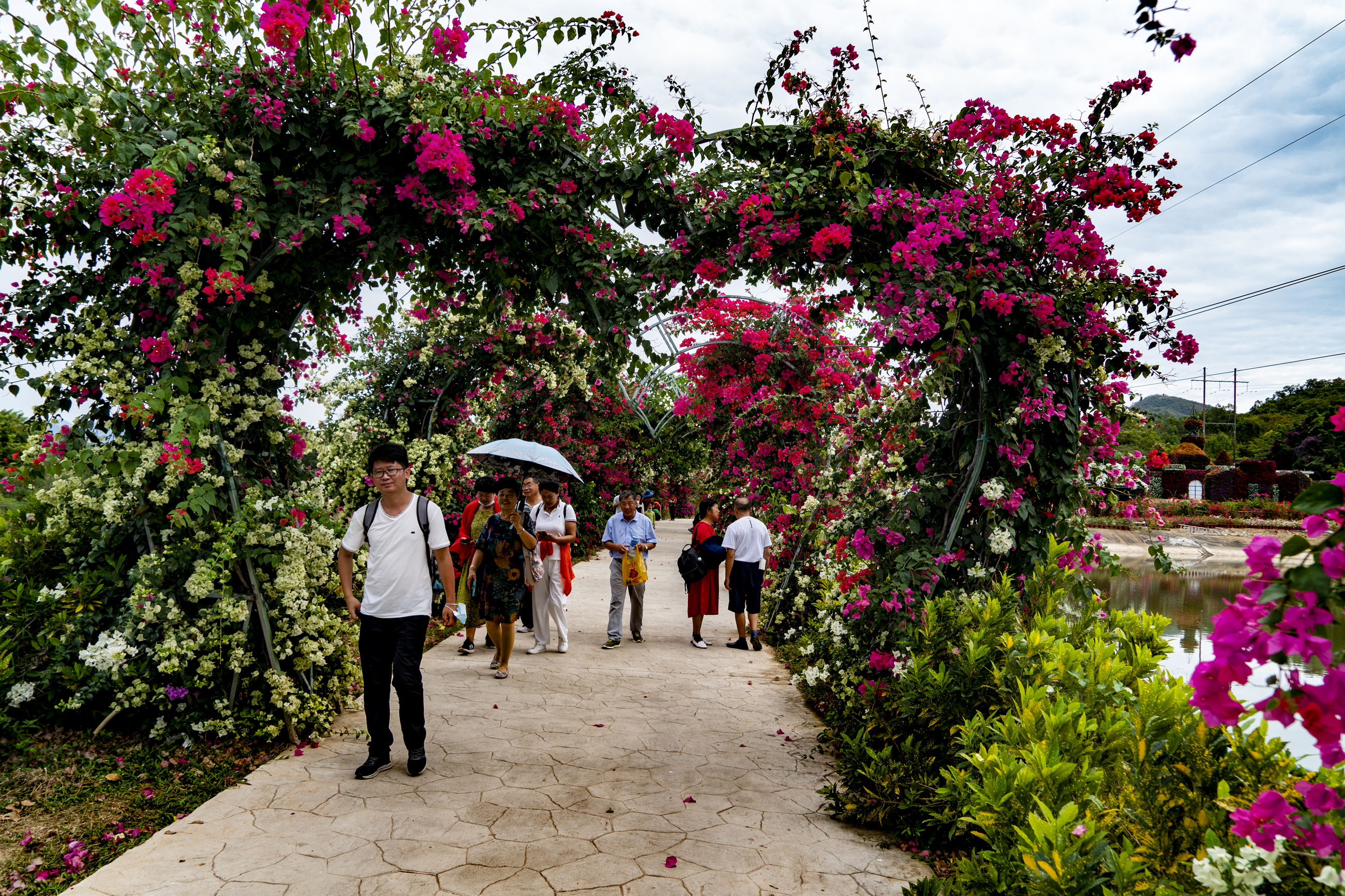 三亚天行森林公园门票,三亚天行森林公园旅游攻略